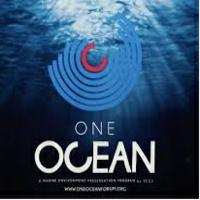 Logo One-Ocean-Foundation - Agenzia Marketing